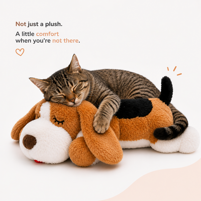 LULLA™ Pet Pal