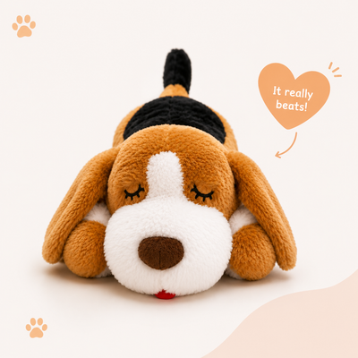 LULLA™ Pet Pal